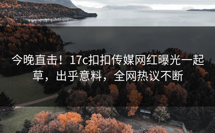 今晚直击！17c扣扣传媒网红曝光一起草，出乎意料，全网热议不断
